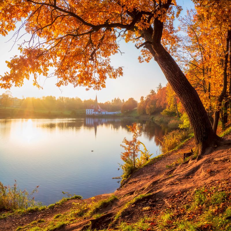 paysage-automne