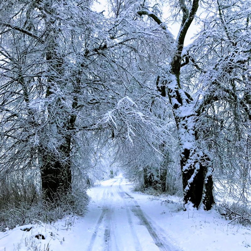 paysage-hiver