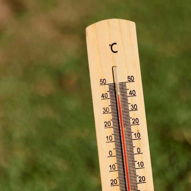 Canicule et conservation cosmétiques.