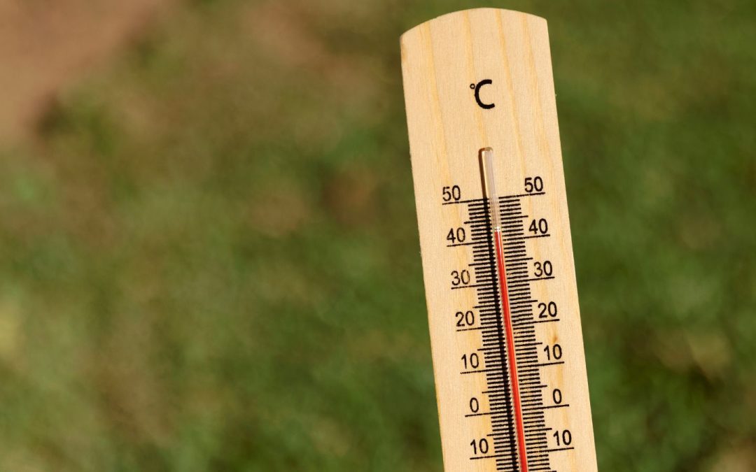 Canicule et cosmétiques : comment bien conserver ses soins quand il fait vraiment chaud